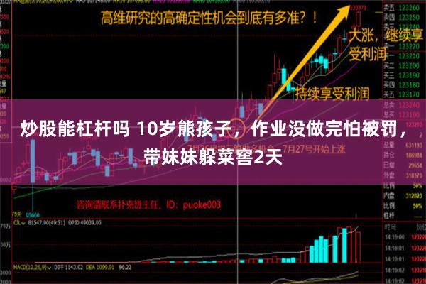 炒股能杠杆吗 10岁熊孩子，作业没做完怕被罚，带妹妹躲菜窖2天