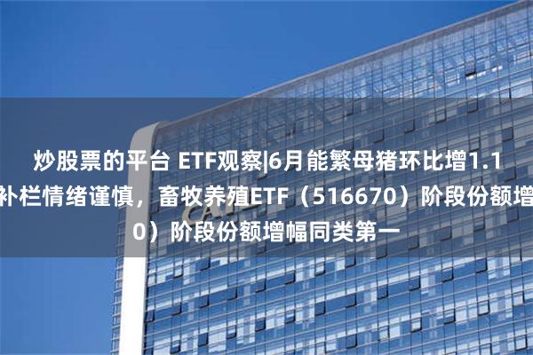 炒股票的平台 ETF观察|6月能繁母猪环比增1.1%，机构：补栏情绪谨慎，畜牧养殖ETF（516670）阶段份额增幅同类第一