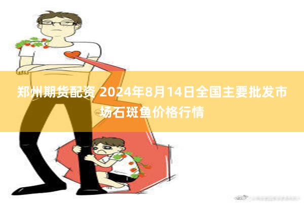 郑州期货配资 2024年8月14日全国主要批发市场石斑鱼价格行情