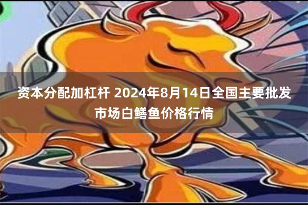 资本分配加杠杆 2024年8月14日全国主要批发市场白鳝鱼价格行情