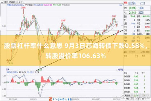 股票杠杆率什么意思 9月3日芯海转债下跌0.58%，转股溢价率106.63%