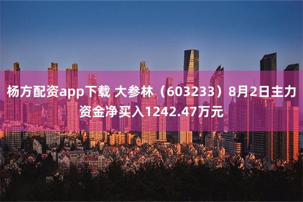 杨方配资app下载 大参林（603233）8月2日主力资金净买入1242.47万元