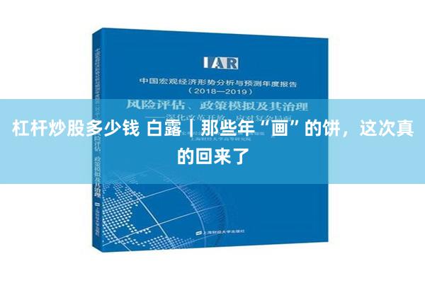 杠杆炒股多少钱 白露｜那些年“画”的饼，这次真的回来了