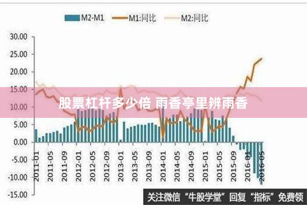 股票杠杆多少倍 雨香亭里辨雨香