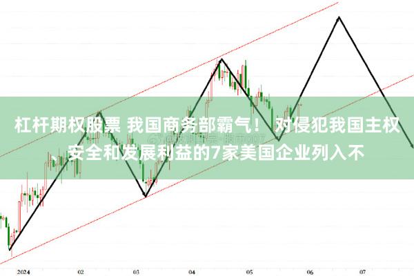 杠杆期权股票 我国商务部霸气！ 对侵犯我国主权、安全和发展利益的7家美国企业列入不