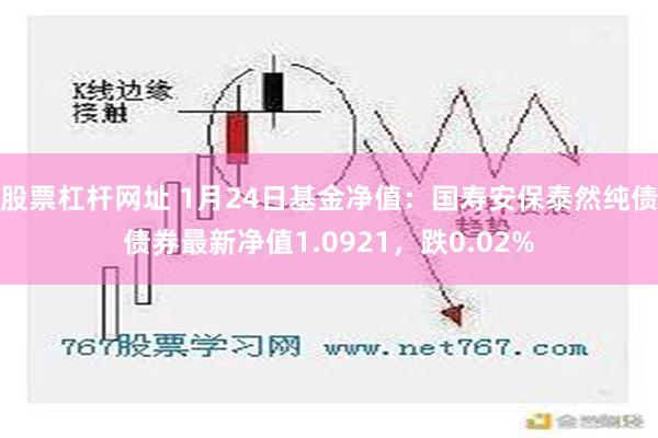 股票杠杆网址 1月24日基金净值：国寿安保泰然纯债债券最新净值1.0921，跌0.02%